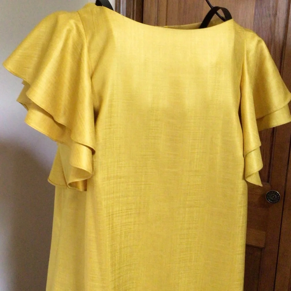 Ali Ro Shift Dress with Flutter Sleeves, Size 4 - Picture 2 of 6